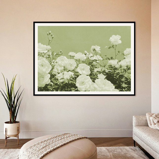 Green Roses Floral Garden Photo Art Print Poster (Créateur téléchargé)
