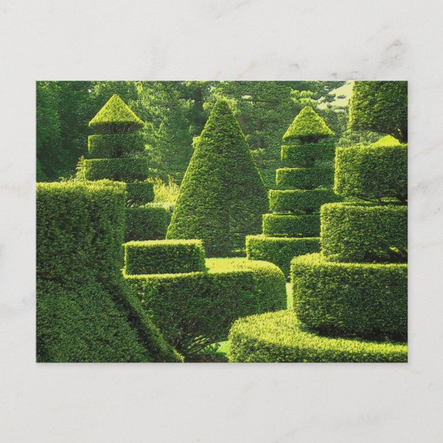 Green Topiary - Carte postale (Devant)