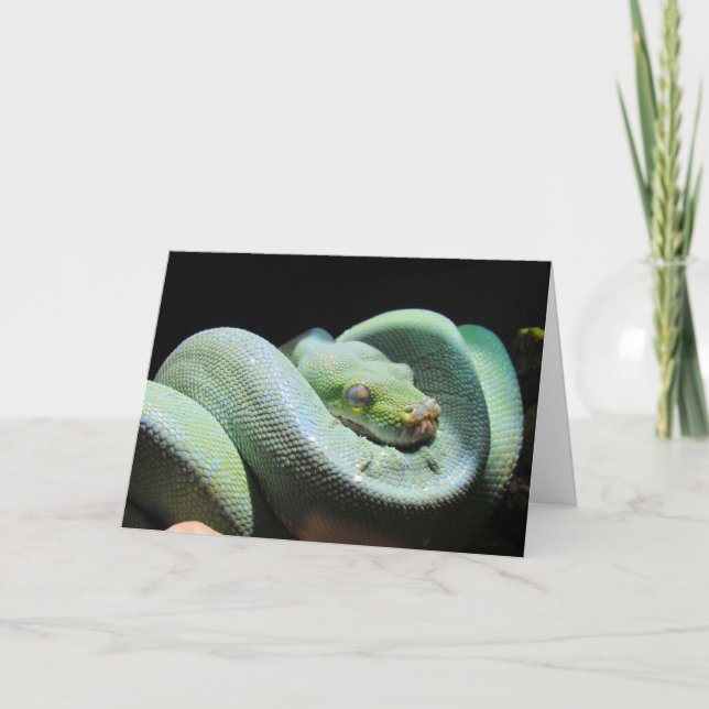 Green Tree Python - Carte de voeux de serpent (Devant)