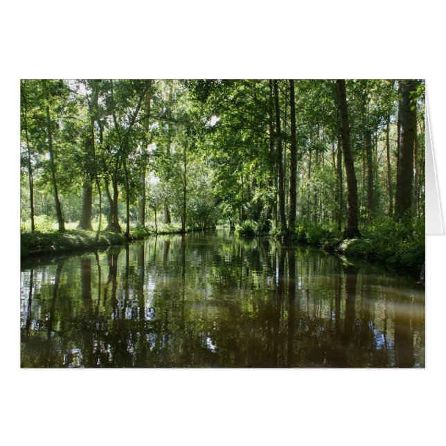 Green Venice Coulon France (Devant Horizontal)