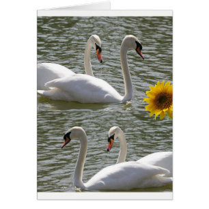 Greeting card swans sunflowers