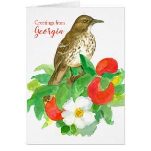 Greetings from Georgia Brown Thrasher Blank