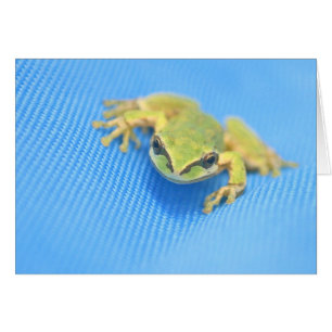 Grenouille