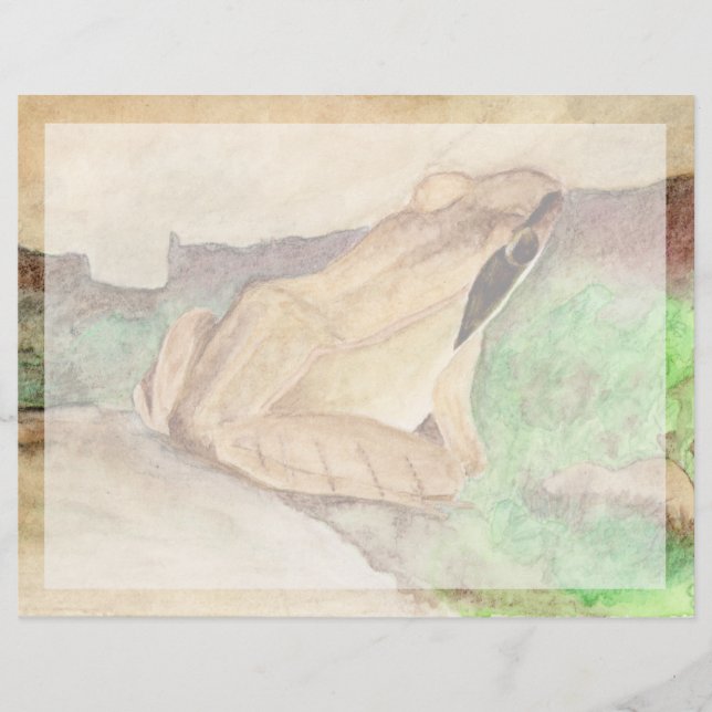 Grenouille à bois (Devant)