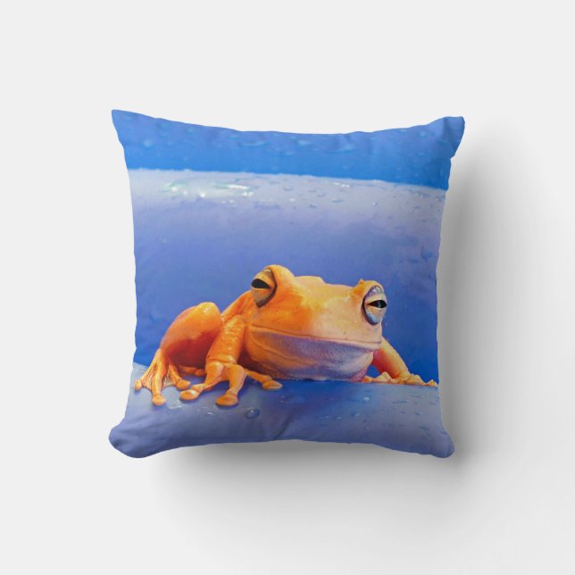Grenouille au lait sur un oreiller flottant (Recto)