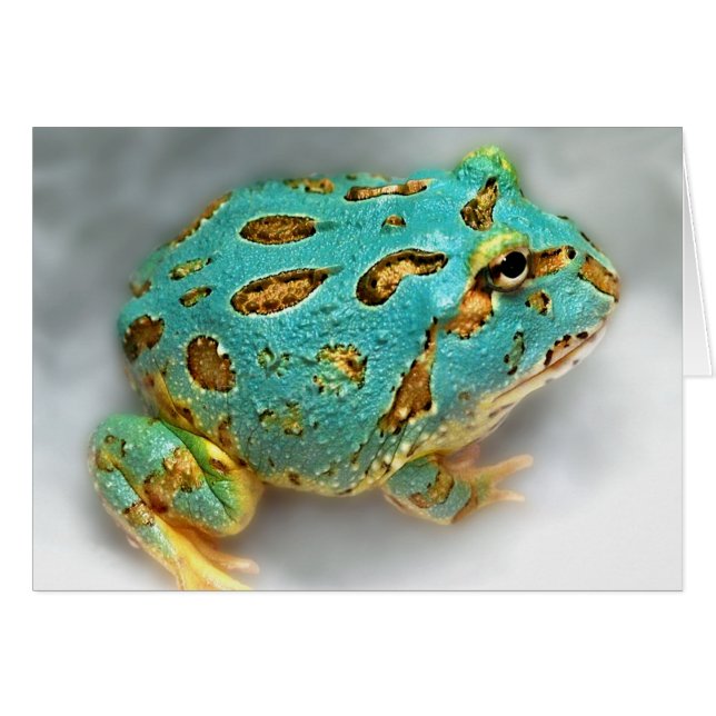 Grenouille bleue de Pac-Man - attente, attendant, (Devant horizontal)