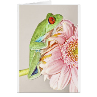 Grenouille d'arbre de Red Eye