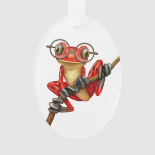 Grenouille d'arbre rouge mignonne avec des verres