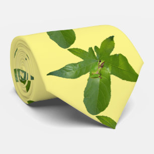 Grenouille D'Arbre Vert Sur La Feuille, Cravate