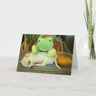 Grenouille de Halloween, chiot, et carte de voeux