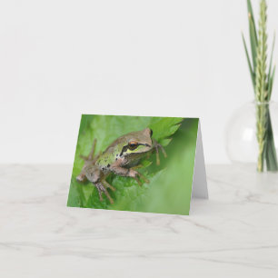 Grenouille de l'arbre du Pacifique - Carte d'art e