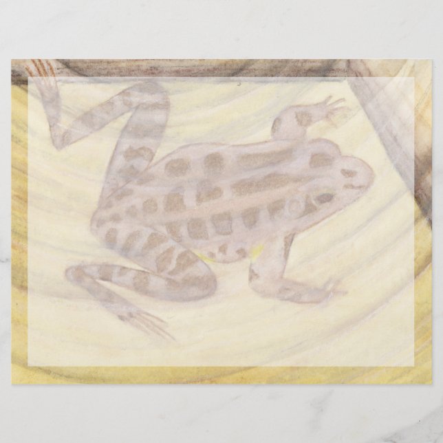 Grenouille de Pickerel (Devant)