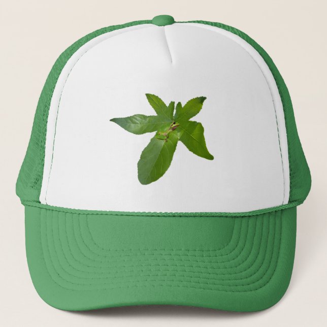 Grenouille feuille de raisin verte, casquette de c (Devant)
