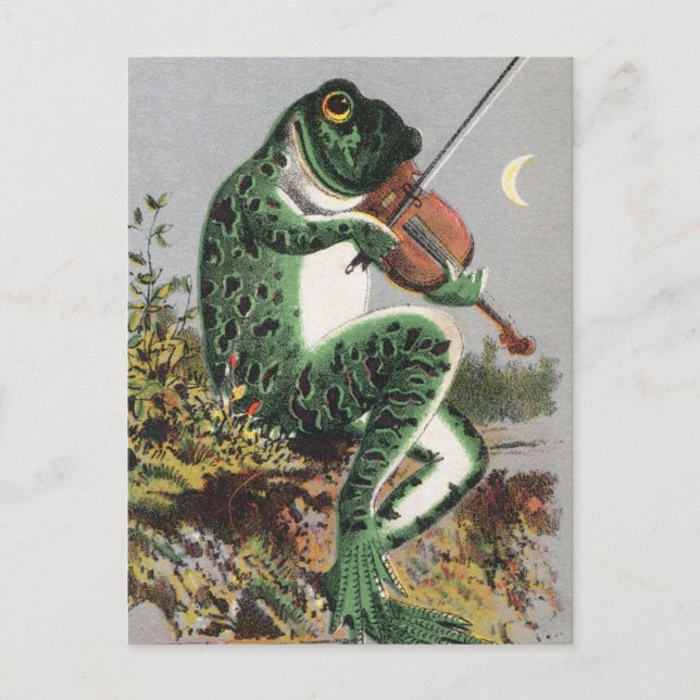 Grenouille Jouer le violon carte postale Vintage (Devant)