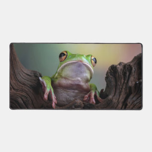 Grenouille mûre