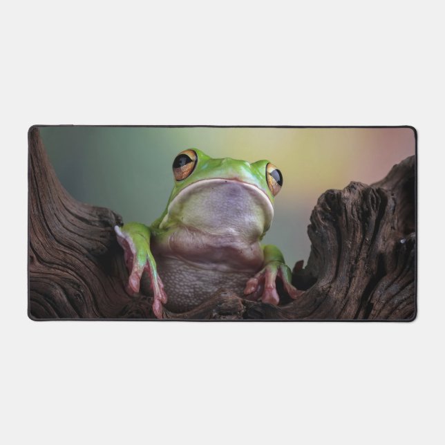 Grenouille mûre (Recto)