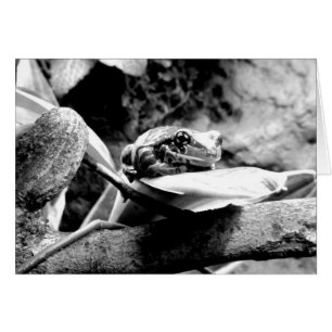 Grenouille sur la feuille B+W Carte de voeux