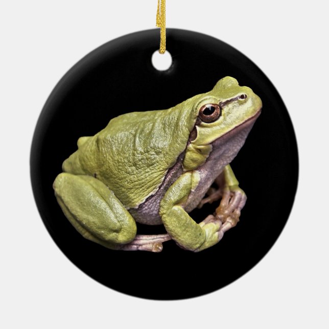 Grenouille zen Pale Green Treefrog Ornement noir (Dos)