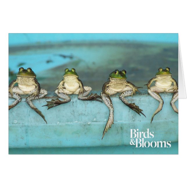 Grenouilles assis (Devant horizontal)