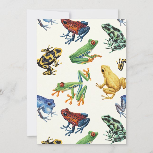 Grenouilles sur blanc naturel (Devant)