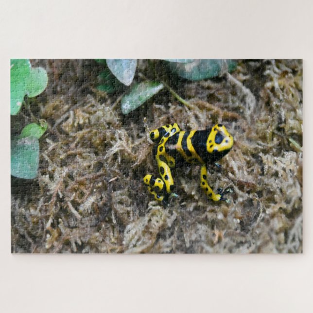 Grenouilles tropicales. Puzzle (Horizontal)