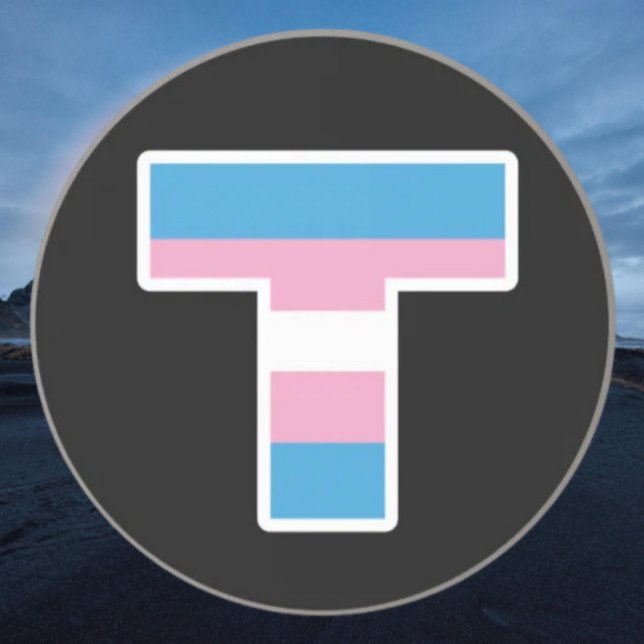 Grès Capitale de la fierté trans T Dessous de verre en  (Créateur téléchargé)