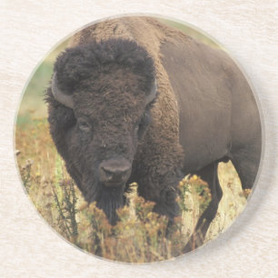 Grès Dessous de verre en bois de bison