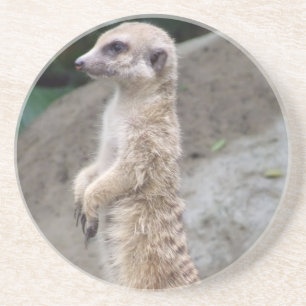 Grès Dessous de verre portés en équilibre de Meerkat