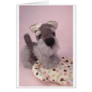 Greta le Schnauzer