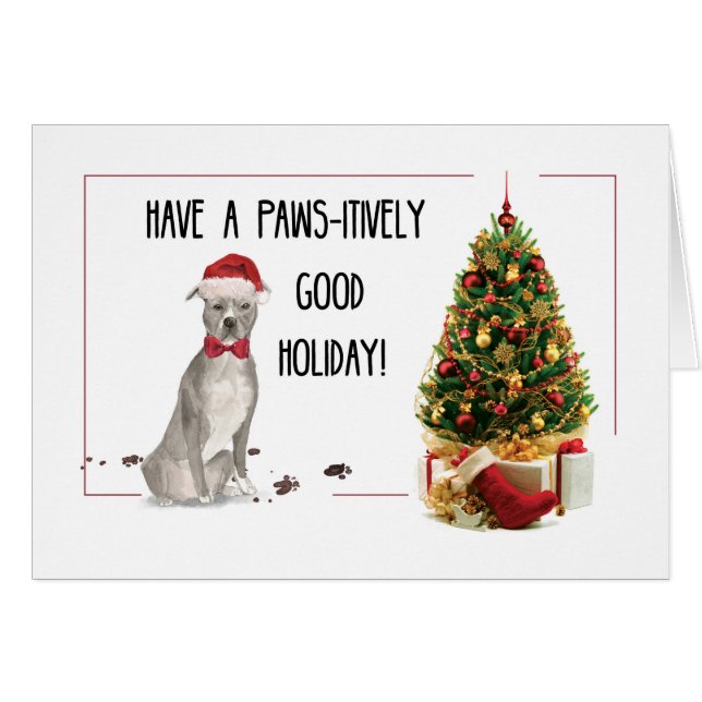 Grey American Staffordshire Terrier Fun Noël (Devant horizontal)