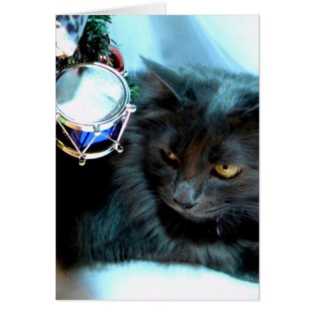 Grey Christmas Kitty II (Devant)