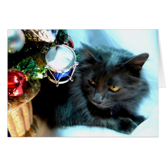 Grey Christmas Kitty II (Devant horizontal)