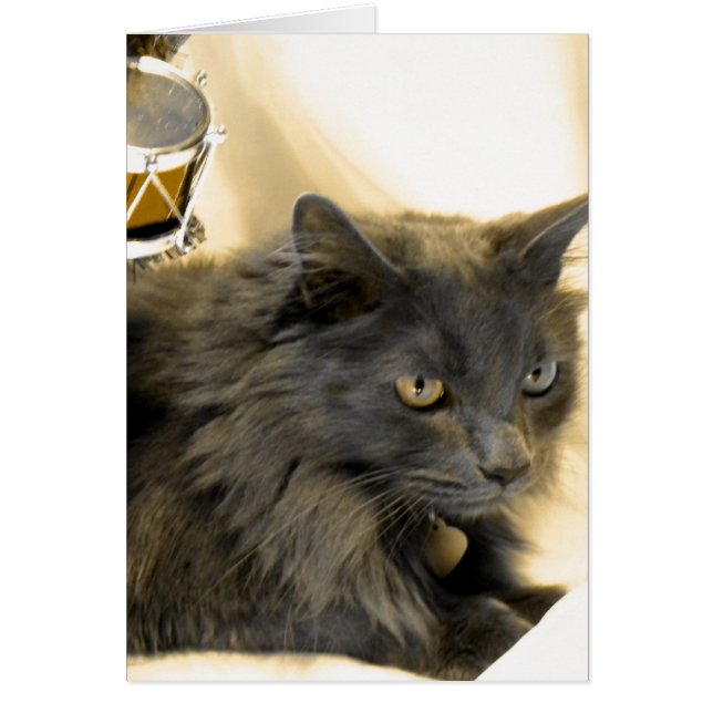 Grey Christmas Kitty IIII (Devant)