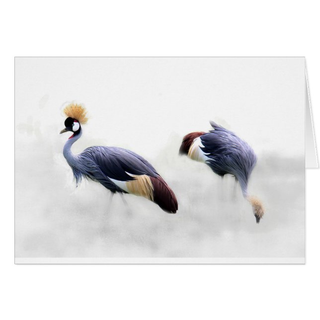 grey-crowned-crane (Devant horizontal)