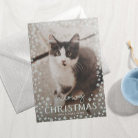 Grey Meowy Noël Animateur de famille Carte photo d