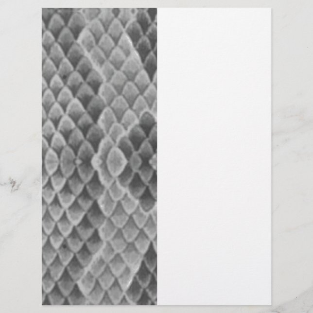 Grey Snakeskin (Devant)