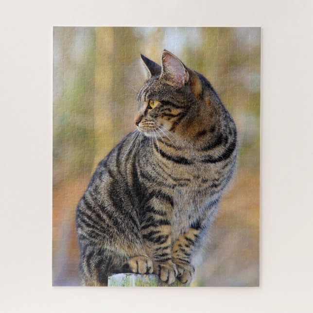 Grey Tabby Jigsaw Puzzle (Vertical)