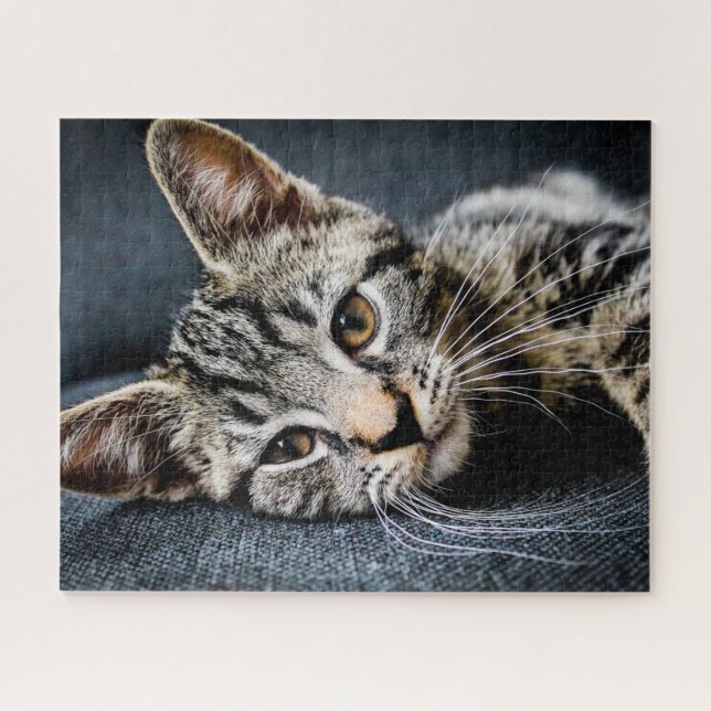 Grey Tabby Kitten Jigsaw Puzzle (Horizontal)