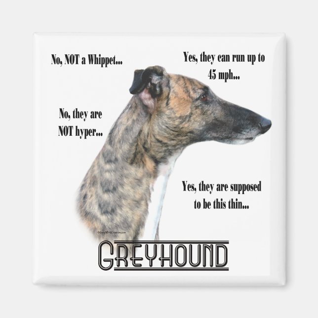 Greyhound FAQ Magnet (Devant)