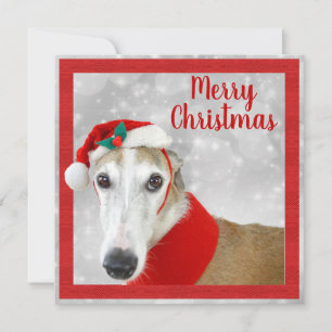 Greyhound Joyeux Noël