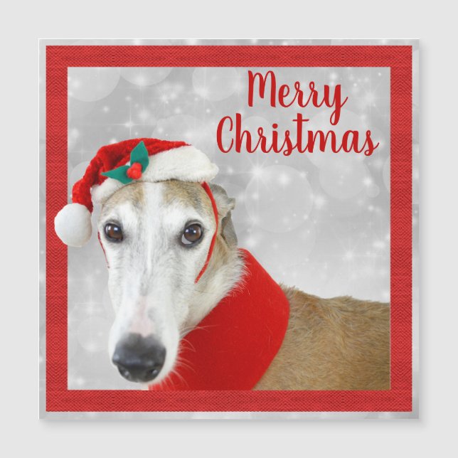 Greyhound Joyeux Noël (Devant)