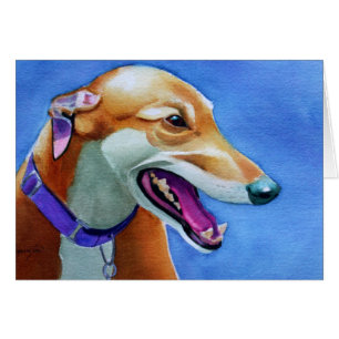 Greyhound Secourt Chien