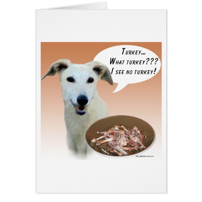 Greyhound Turquie (Devant)