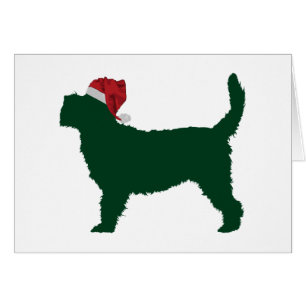 Griffon grand Vendeen de basset