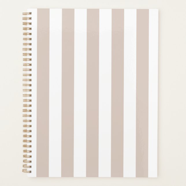 Grilles Verticales Bbeige Et Blanc Gratté (Devant)