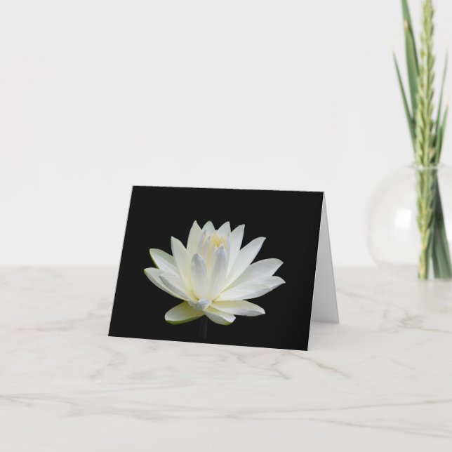 Gris Blanc Eau Lily Blank Note Cartes de voeux (Devant)