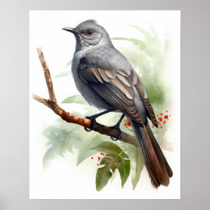 Gris Catbird Oiseau Art Imprimer Poster