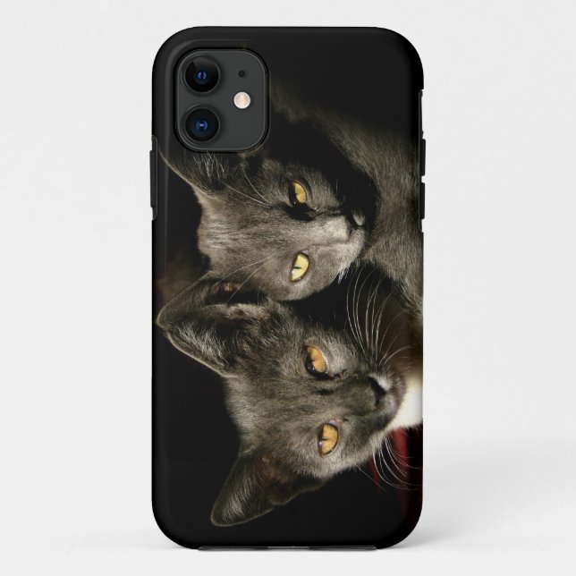 Gris Chats Photo iPhone SE + iPhone 5/5S Coque (Dos)