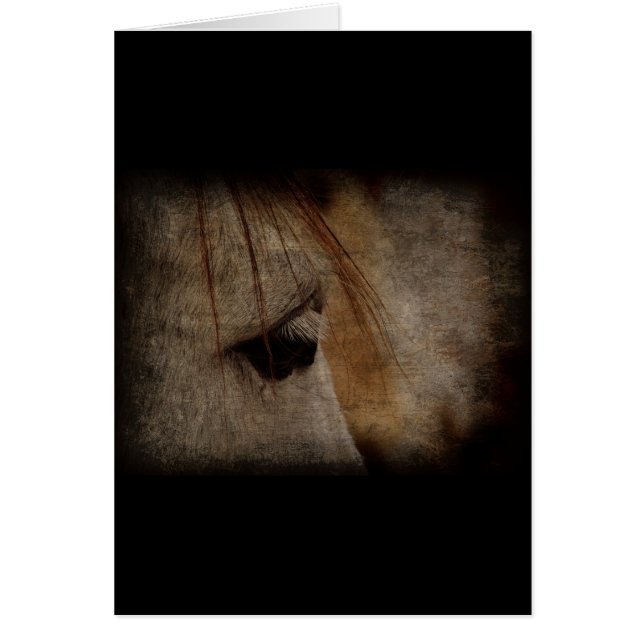Gris Cheval Face Grunge (Devant)