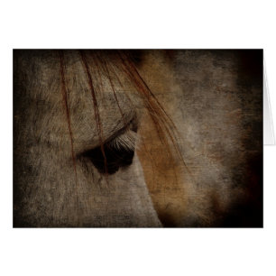 Gris Cheval Face Grunge